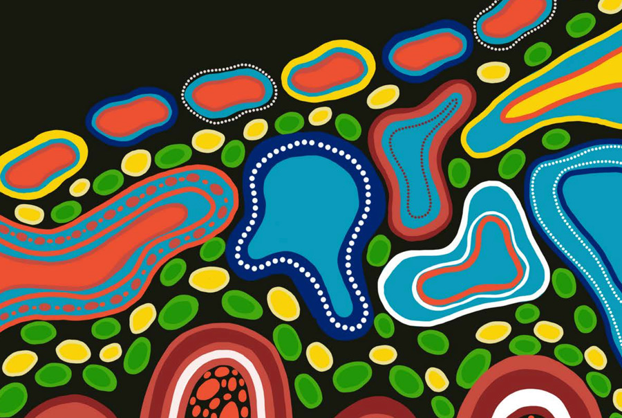 08-Connecting-in-the-Gulf-Digital-Inclusion-of-Indigenous-Families-Living-on-Mornington-Island